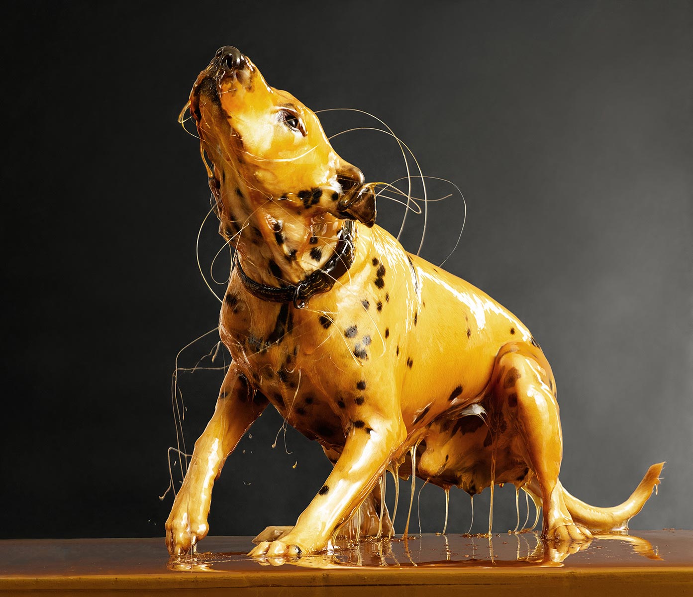 фотограф облил своих моделей мёдом, Preservation, Блейк Литл, Blake Little