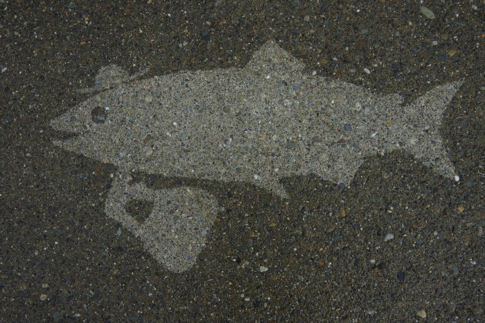 Невидимый стрит-арт, стрит-арт который появляется во время дождя, Перегрин Чёрч, Peregrine Church