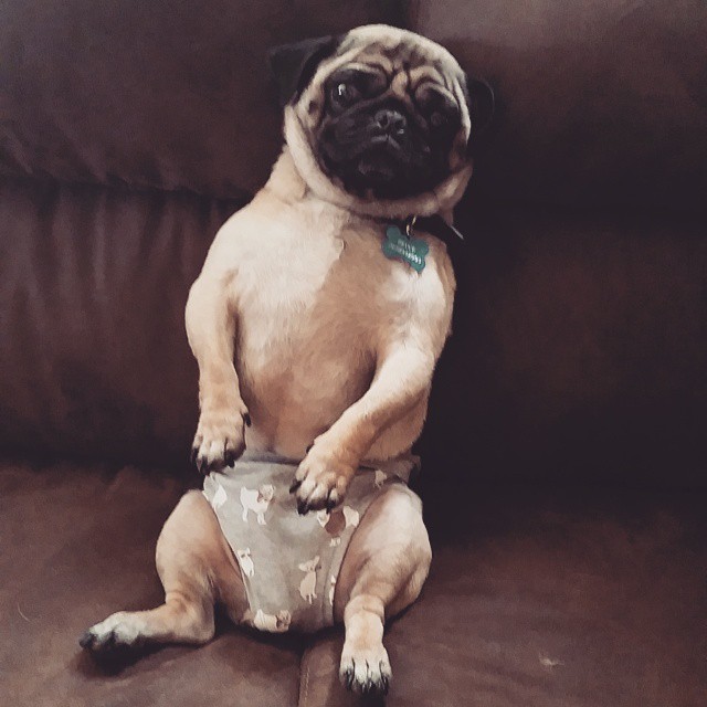 #manties, парни в трусах, мужчины в одних трусах