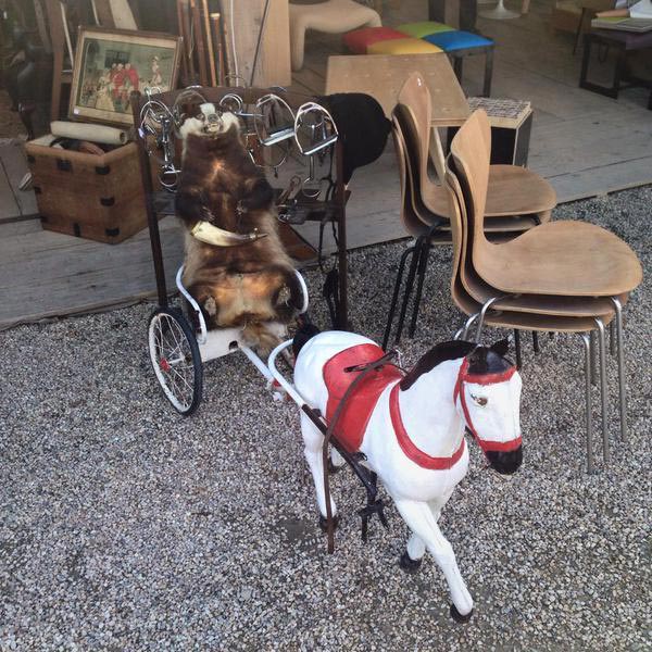 творения таксидермистов, смешные животные таксидермия, безумие таксидермисты