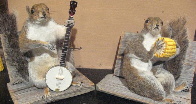 творения таксидермистов, смешные животные таксидермия, безумие таксидермисты