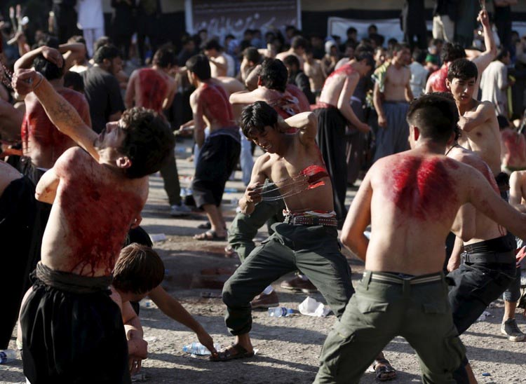 мощные фотографии, самые мощные фотографии недели, обо всём на свете