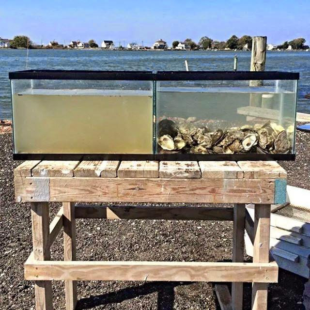 как делают вещи, производство в анимации, познавательная анимация, вещи которых вы нигде не увидите