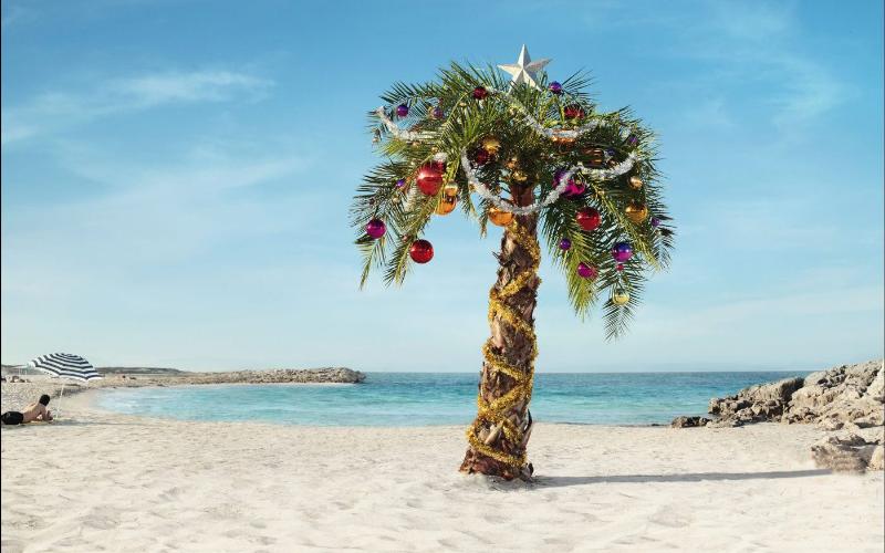 Самые популярные вопросы о Рождестве, ответы на которые мало кто знает Самые популярные вопросы о Рождестве, о рождестве