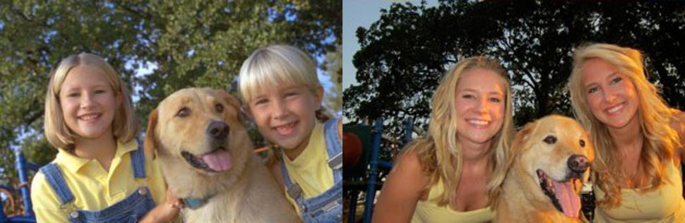 собаки тогда и сейчас, щенки после того как выросли, собаки выросли