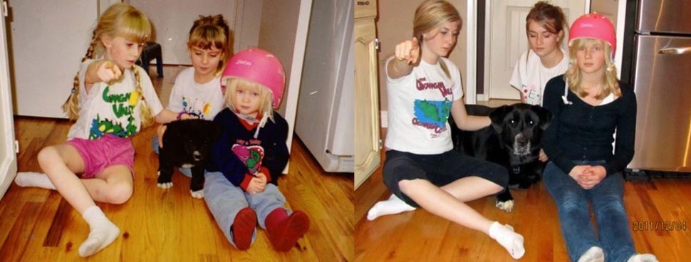 собаки тогда и сейчас, щенки после того как выросли, собаки выросли