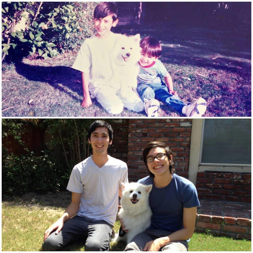 собаки тогда и сейчас, щенки после того как выросли, собаки выросли