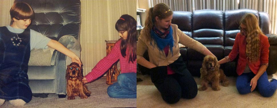 собаки тогда и сейчас, щенки после того как выросли, собаки выросли