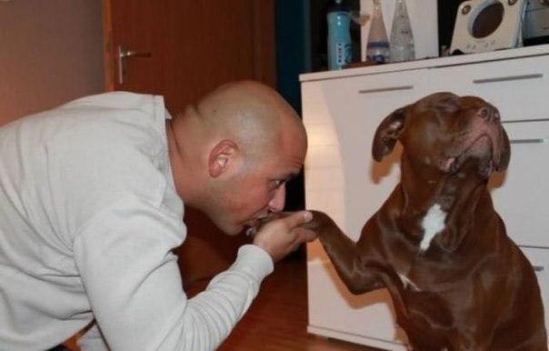 это я, животные в которых каждый узнает себя, животные как люди