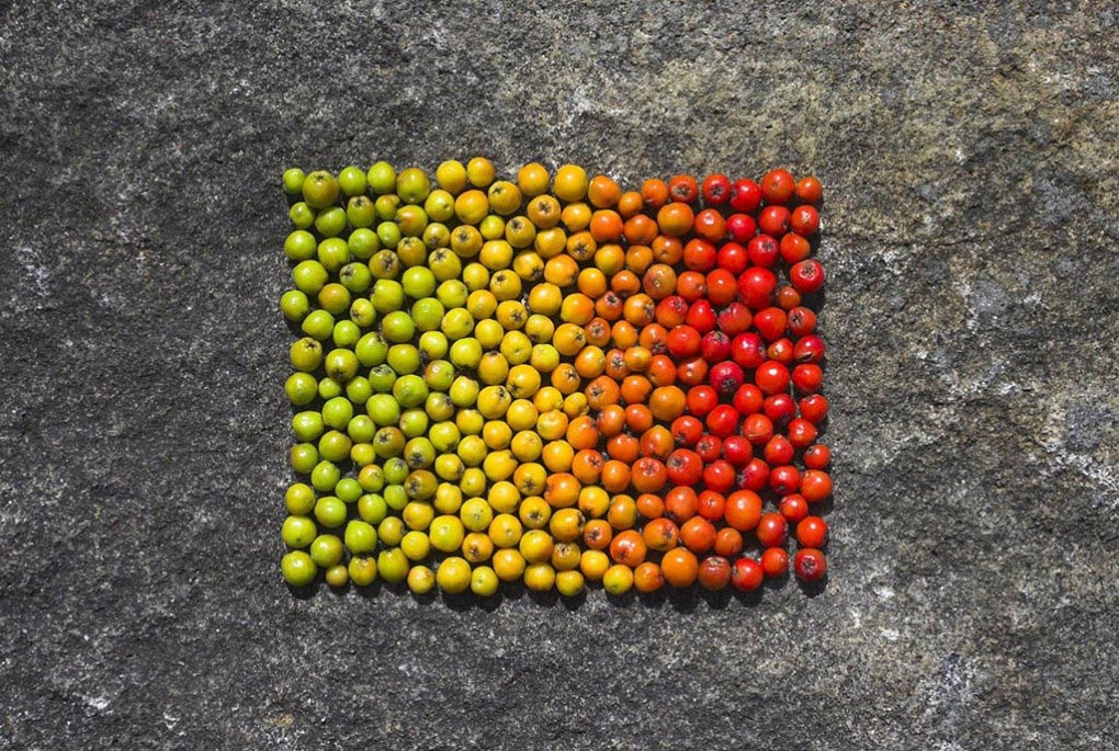 полезные привычки, как укрепить здоровье