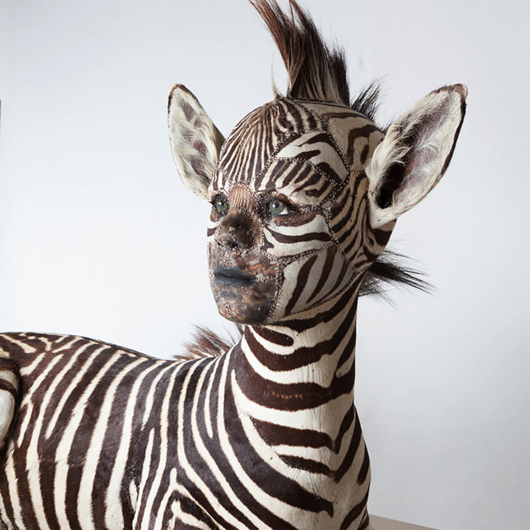 Человеческая таксидермия: странные чучела животных с человеческими лицами чучела животных с лицами людей, человеческая таксидермия, животные с лицами людей