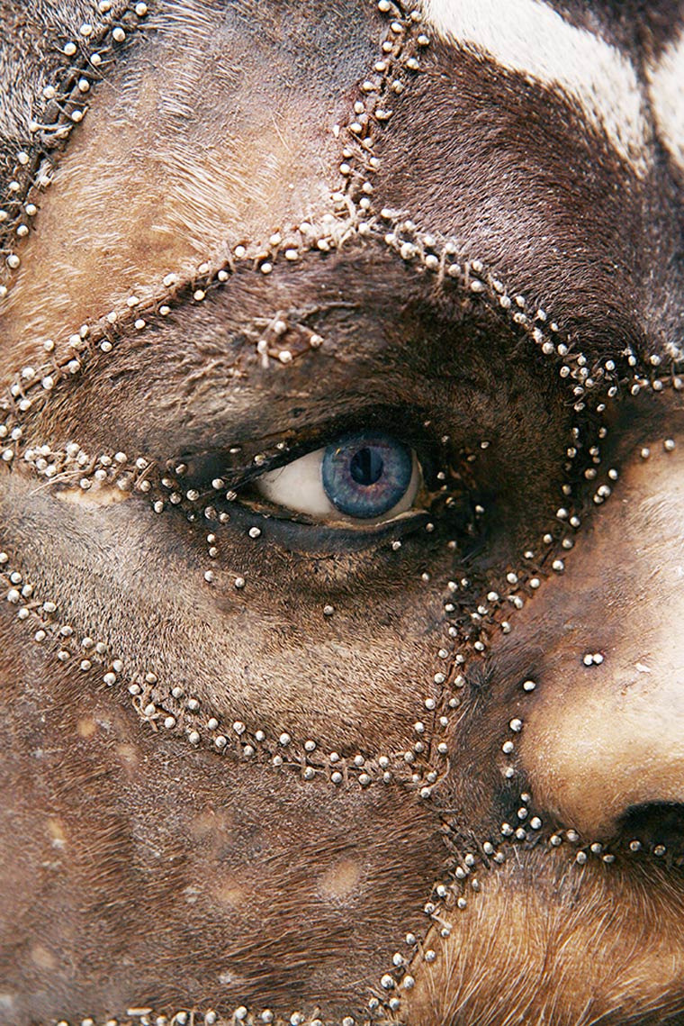 Человеческая таксидермия: странные чучела животных с человеческими лицами чучела животных с лицами людей, человеческая таксидермия, животные с лицами людей