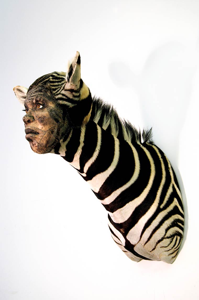 Человеческая таксидермия: странные чучела животных с человеческими лицами чучела животных с лицами людей, человеческая таксидермия, животные с лицами людей