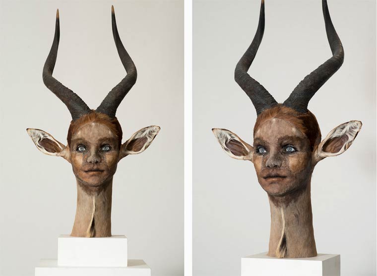 Человеческая таксидермия: странные чучела животных с человеческими лицами чучела животных с лицами людей, человеческая таксидермия, животные с лицами людей