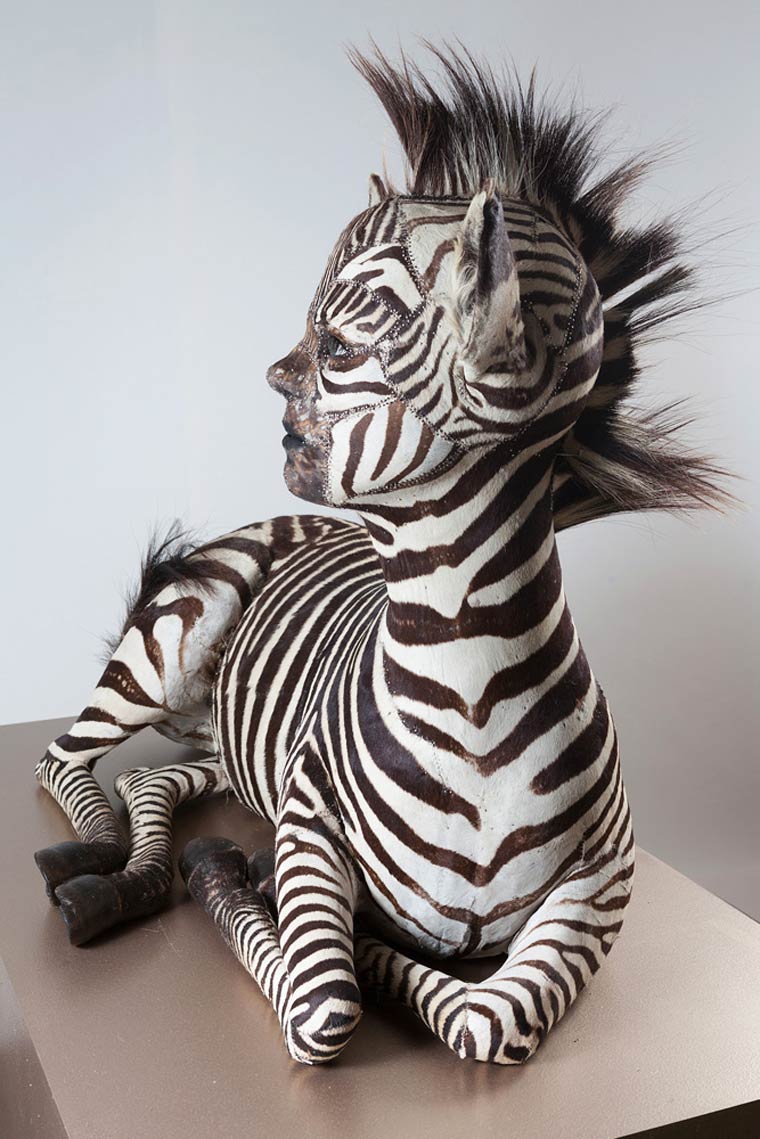 Человеческая таксидермия: странные чучела животных с человеческими лицами чучела животных с лицами людей, человеческая таксидермия, животные с лицами людей