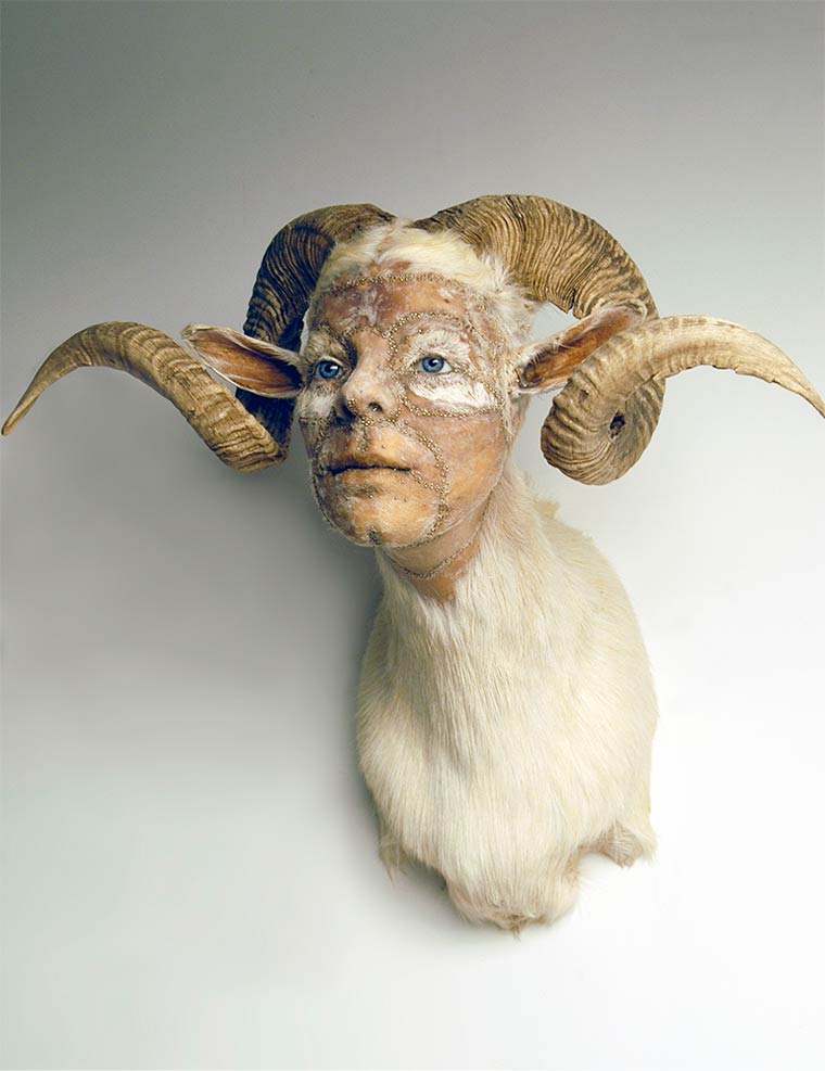 Человеческая таксидермия: странные чучела животных с человеческими лицами чучела животных с лицами людей, человеческая таксидермия, животные с лицами людей