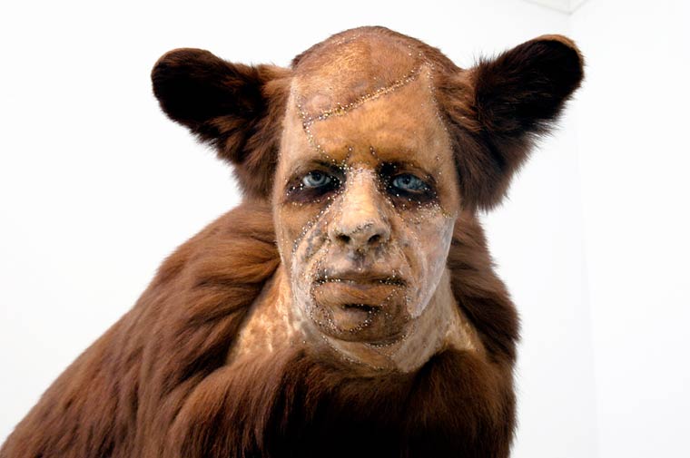 Человеческая таксидермия: странные чучела животных с человеческими лицами чучела животных с лицами людей, человеческая таксидермия, животные с лицами людей