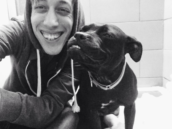 20 счастливых собак, которые на самом деле умеют улыбаться собаки-улыбаки, собаки умеют улыбаться