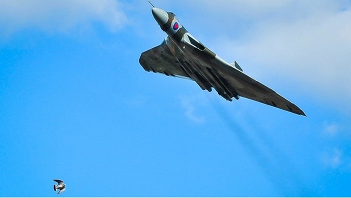 вещи которые остались в одном экземпляре, последние вещи в мире