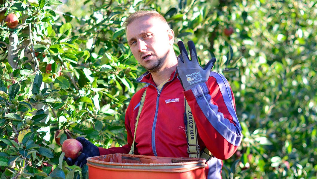 жители Италии о России и русских, иностранцы о русских