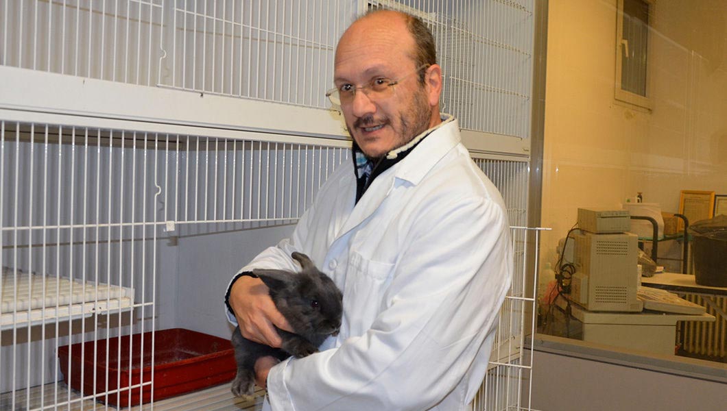 жители Италии о России и русских, иностранцы о русских