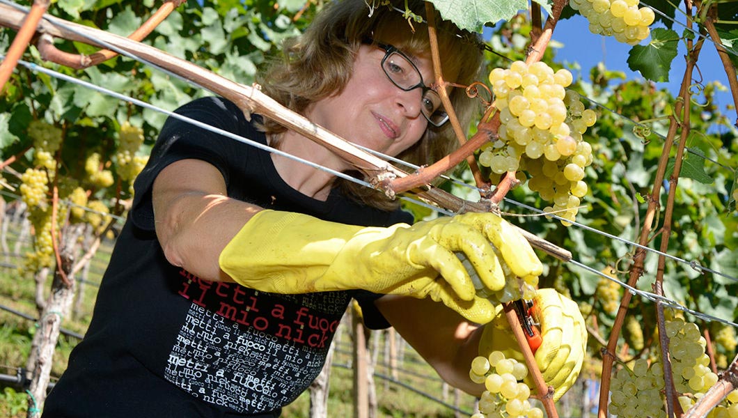 жители Италии о России и русских, иностранцы о русских