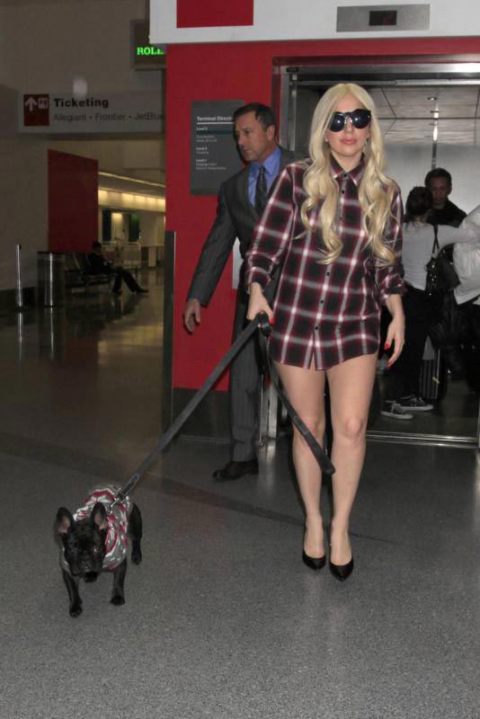 Самые нелепые и безвкусные наряды знаменитостей за первую половину февраля нелепые наряды голливудских знаменитостей, странные наряды звёзд