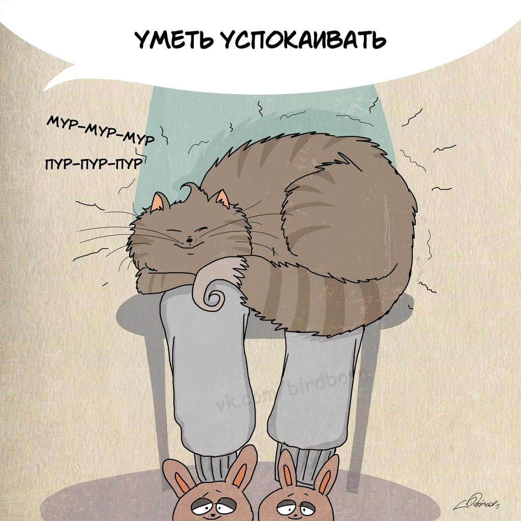 Чему нам стоит поучиться у кошек, 1 марта день кошек, Bird Born