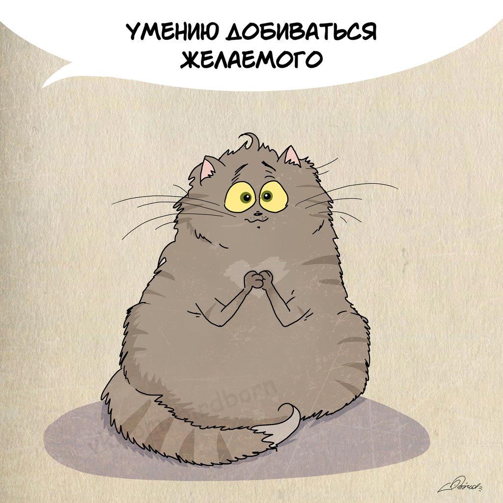 Чему нам стоит поучиться у кошек, 1 марта день кошек, Bird Born