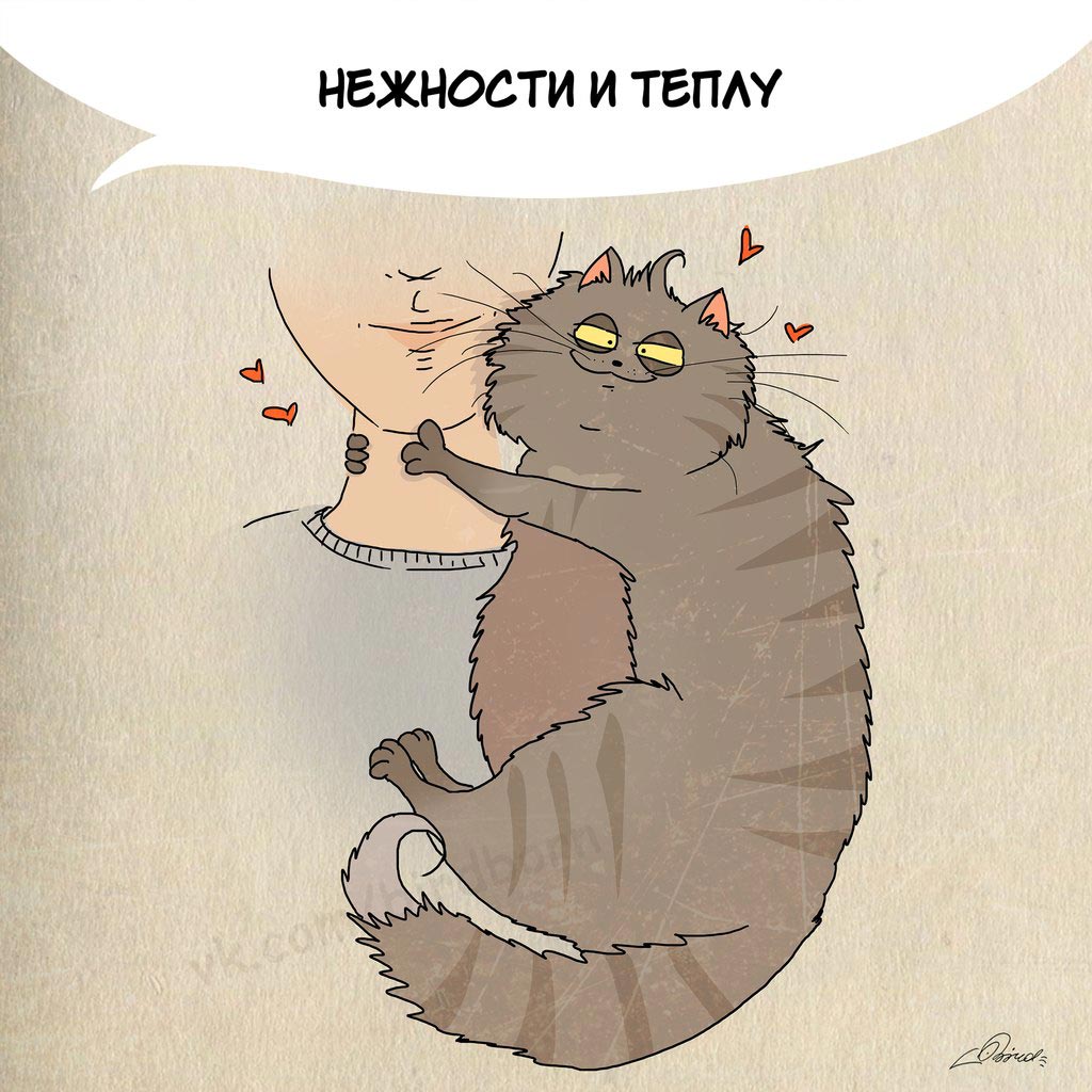 Чему нам стоит поучиться у кошек, 1 марта день кошек, Bird Born