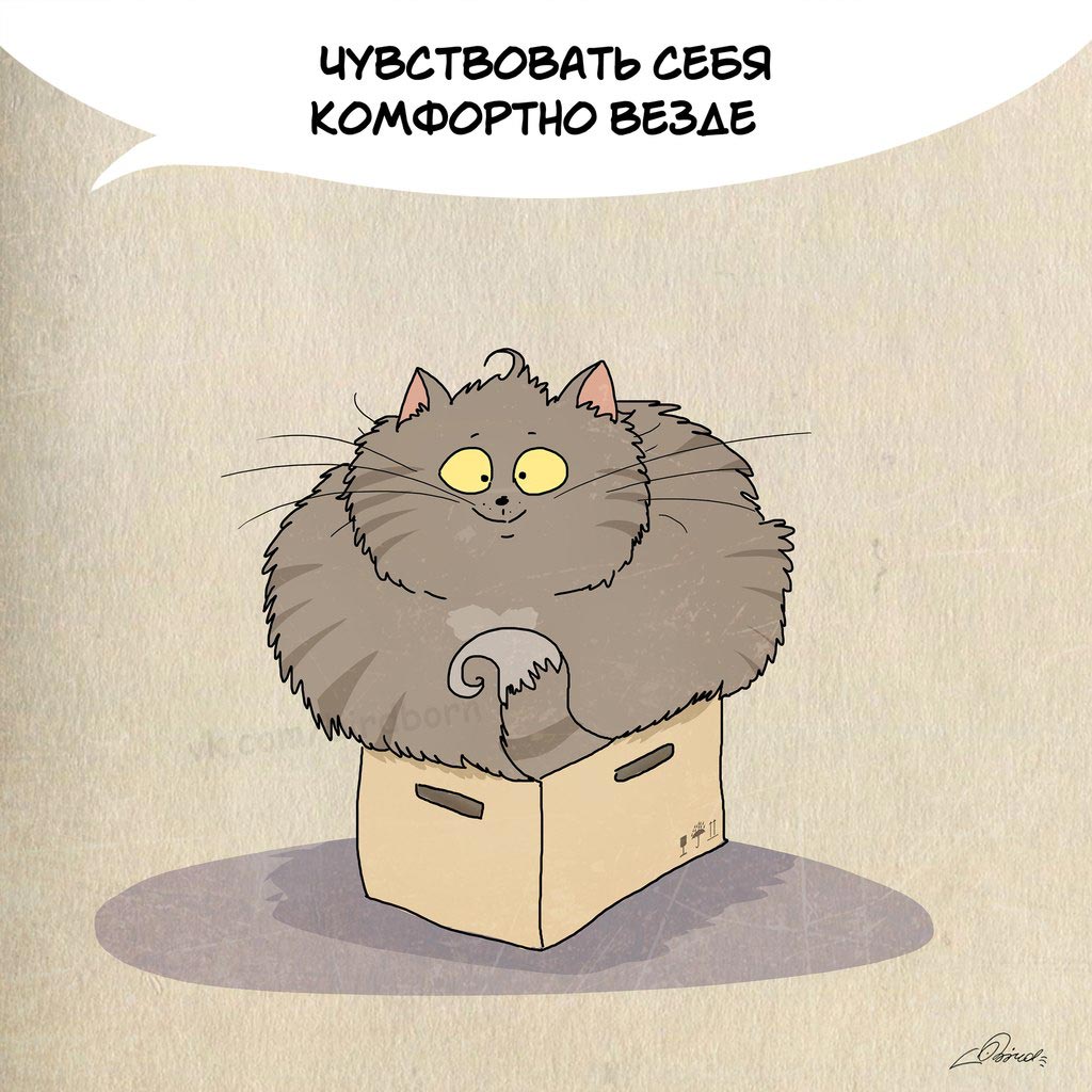 Чему нам стоит поучиться у кошек, 1 марта день кошек, Bird Born