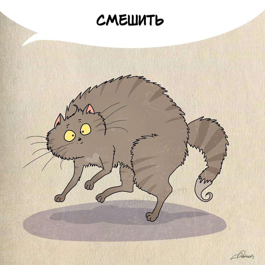 Чему нам стоит поучиться у кошек, 1 марта день кошек, Bird Born