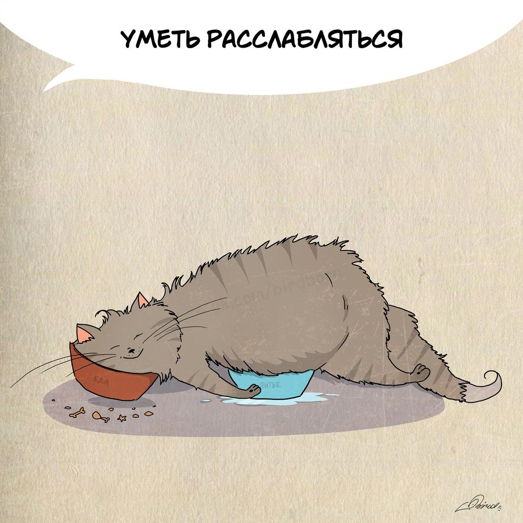 Чему нам стоит поучиться у кошек, 1 марта день кошек, Bird Born