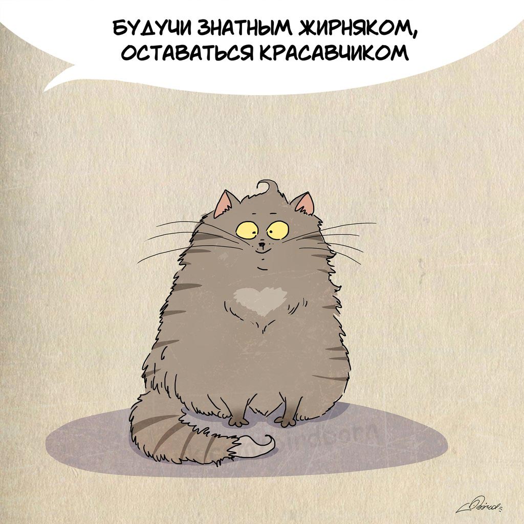 Чему нам стоит поучиться у кошек, 1 марта день кошек, Bird Born