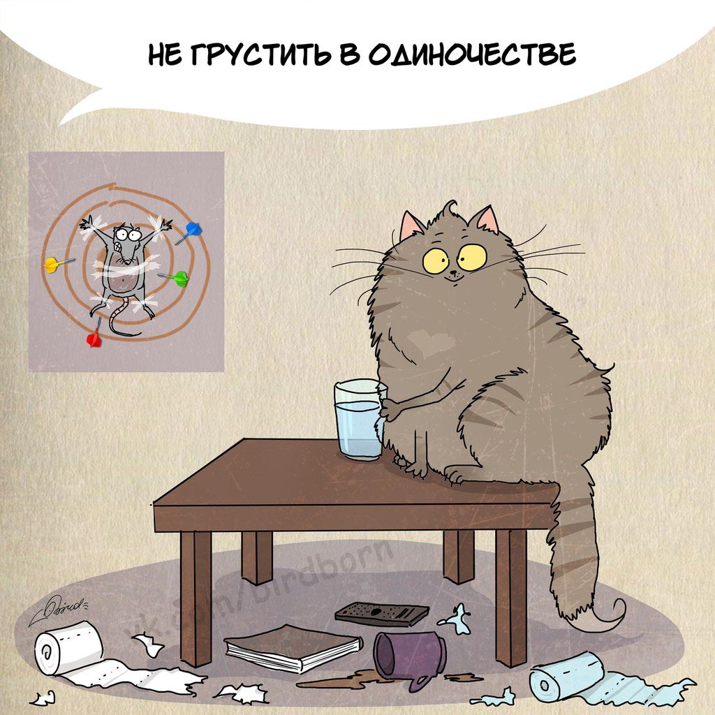 Чему нам стоит поучиться у кошек, 1 марта день кошек, Bird Born