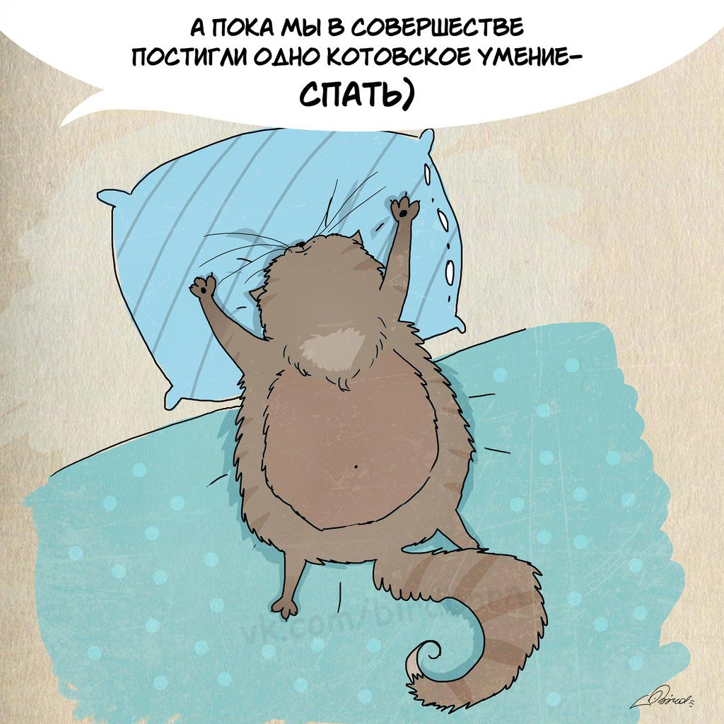 Чему нам стоит поучиться у кошек, 1 марта день кошек, Bird Born