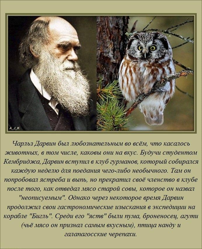 факты которые сделают вас умнее, познавательные факты
