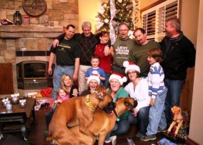 смешные фотобомбы, самые фотобомбы, фотобобы должен увидеть