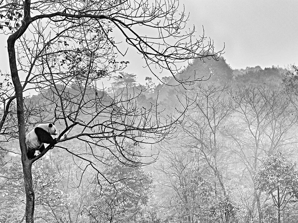 National Geographic за март 2015, лучшие фотографии National Geographic