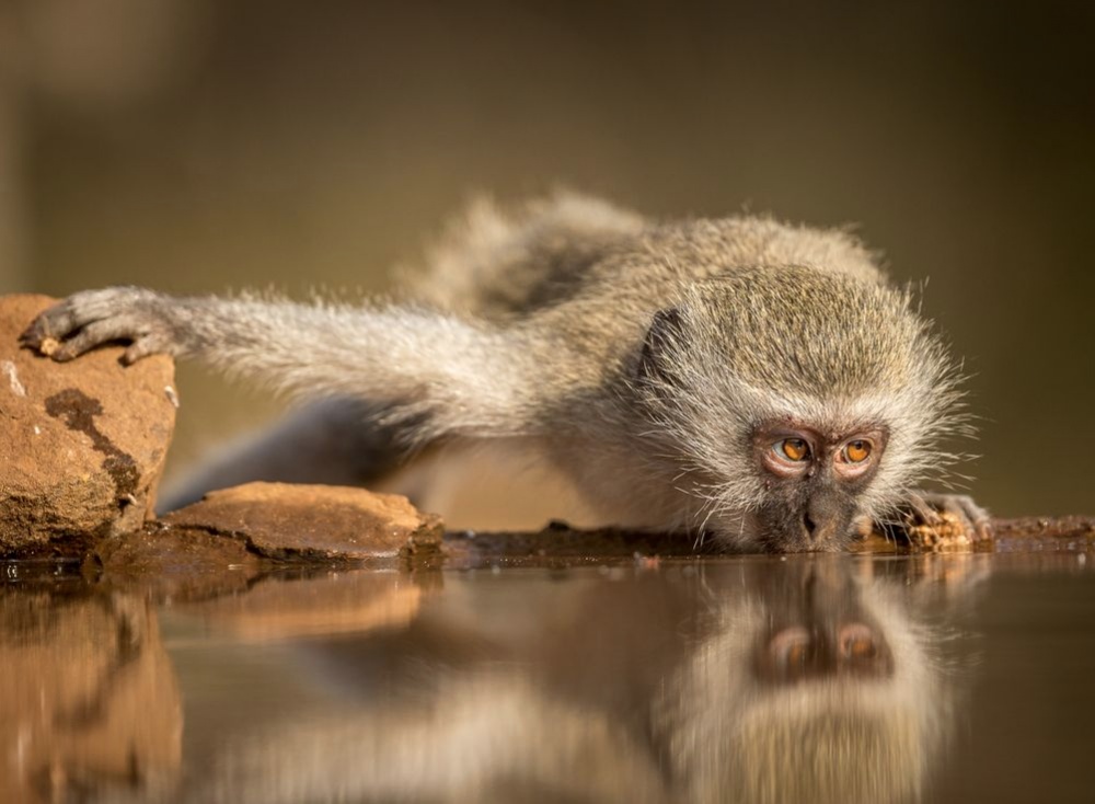 National Geographic за март 2015, лучшие фотографии National Geographic