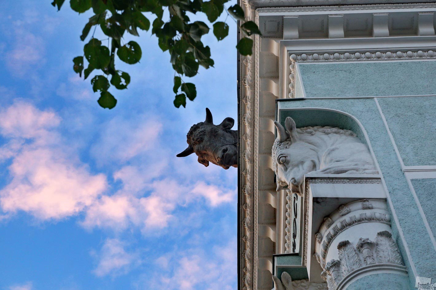  Best of Russia 2014, Лучшие фотографии России