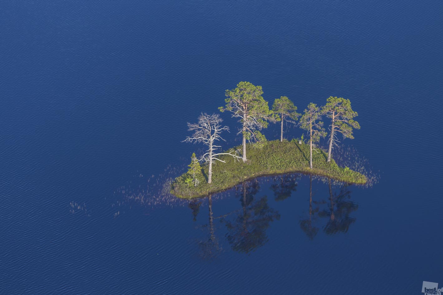  Best of Russia 2014, Лучшие фотографии России