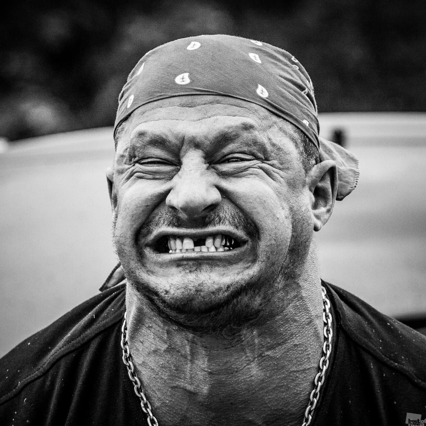  Best of Russia 2014, Лучшие фотографии России