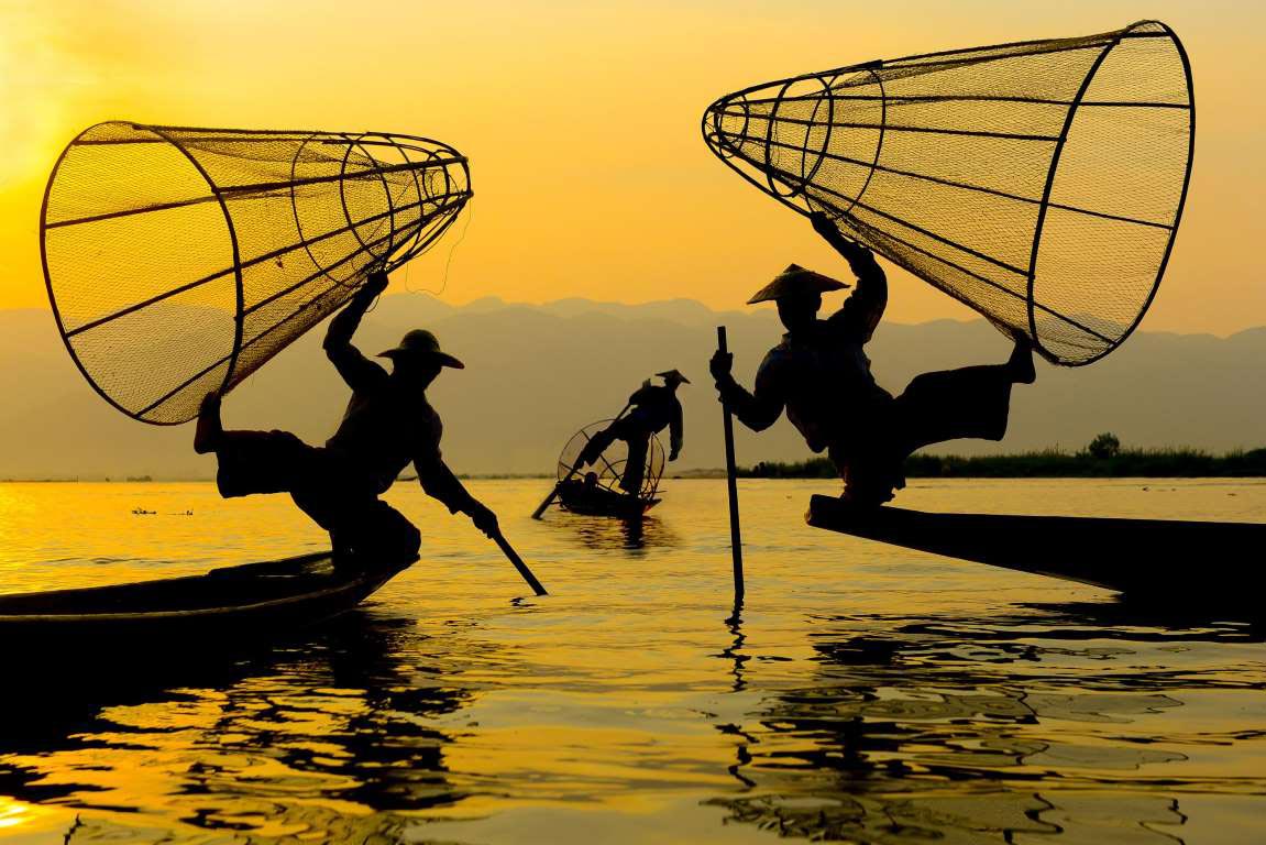 Sony World Photography Awards 2015, победители  Sony World Photography Awards 2015