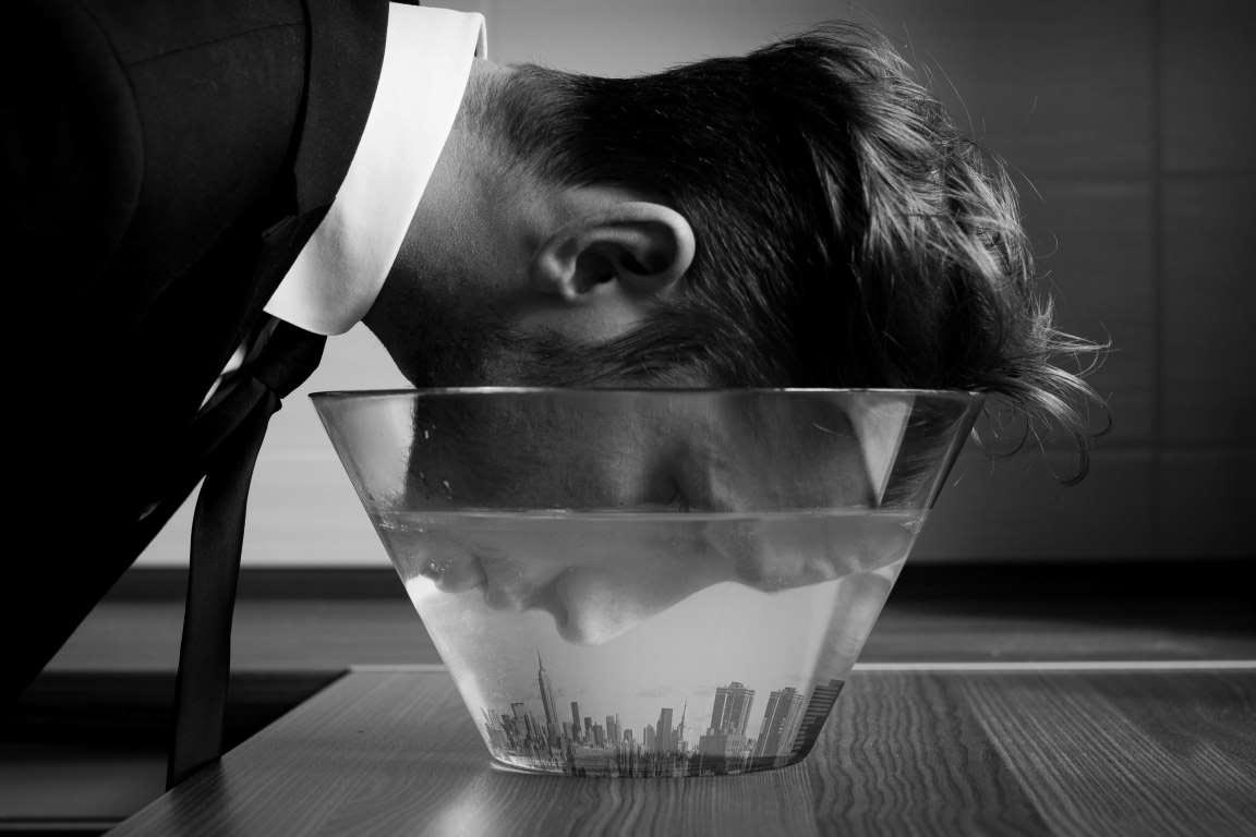 Sony World Photography Awards 2015, победители  Sony World Photography Awards 2015