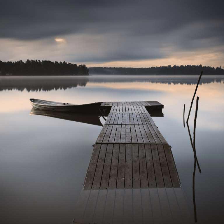 Sony World Photography Awards 2015, победители  Sony World Photography Awards 2015