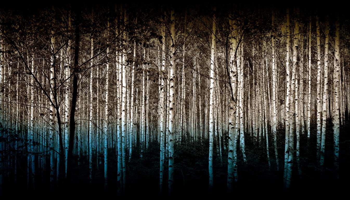 Sony World Photography Awards 2015, победители  Sony World Photography Awards 2015