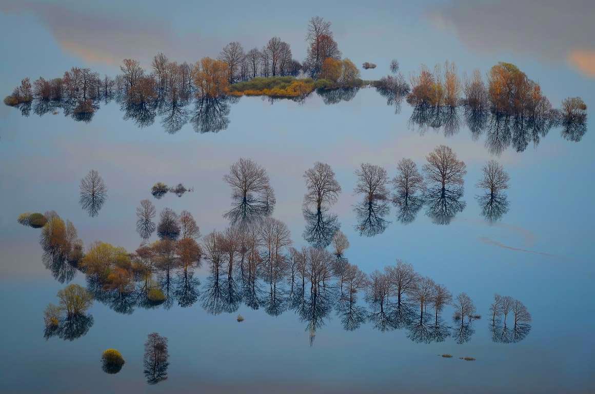 Sony World Photography Awards 2015, победители  Sony World Photography Awards 2015