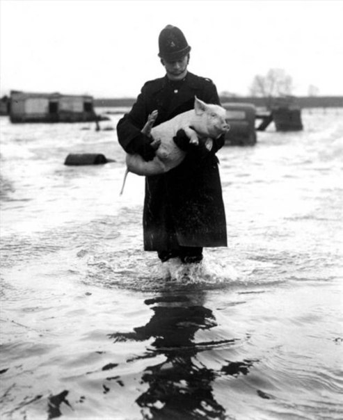Исторические кадры, редкие архивные фотографии, исторические события, редкие фото звёзд