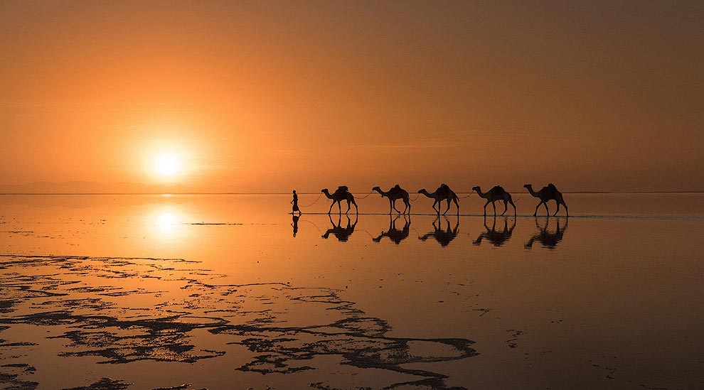 National Geographic, лучшие фотографии National Geographic, National Geographic за апрель 2015